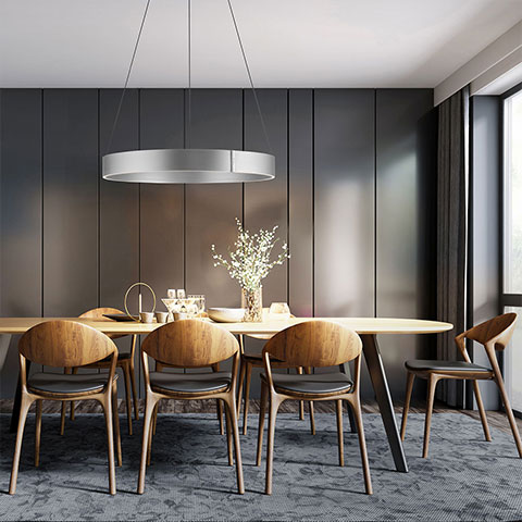 Paul Neuhaus Pure E-Clipse Leuchten in vielen Größen und Varianten